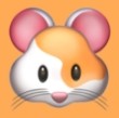 蓝猫视频下载官方版APP应用