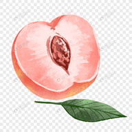 WWW,se266·COM网站APP图片