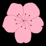 污视频下载APP应用